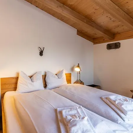 公寓 Edelweiss Promenada Penthouse 弗利姆斯