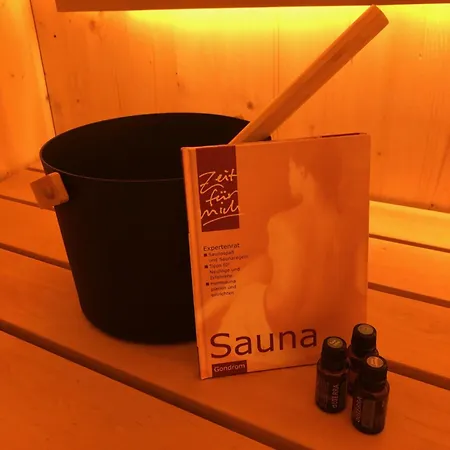 公寓 Edelweiss Promenada Penthouse 弗利姆斯